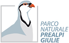 Parco Naturale Prealpi Giulie